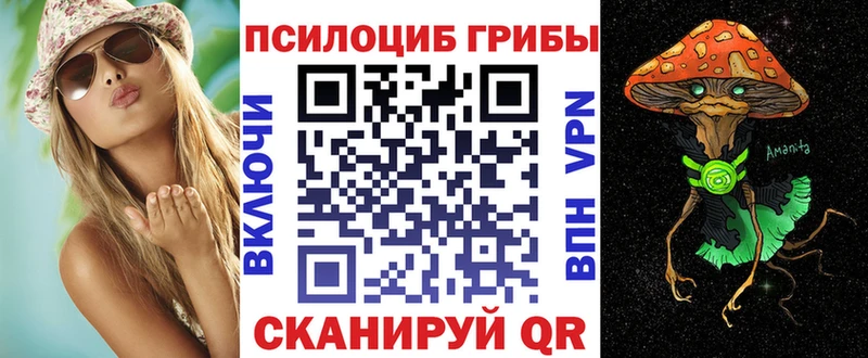 Псилоцибиновые грибы Psilocybine cubensis  Хабаровск 